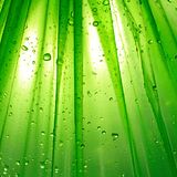 Ipad+water+drop+wallpaper